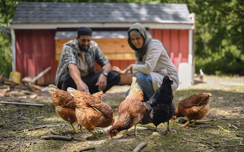 chăn nuôi theo tiêu chuẩn Halal