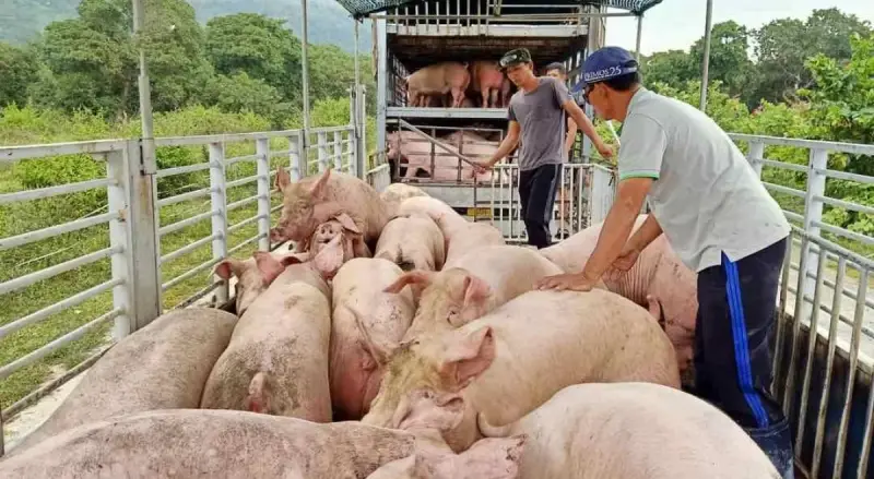 di dời chăn nuôi đồng nai