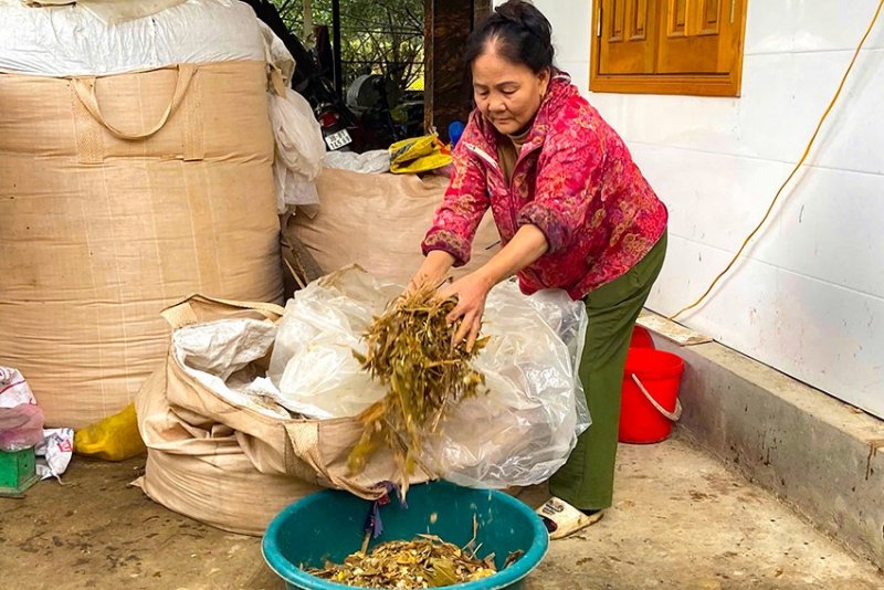 chống rét cho gia súc