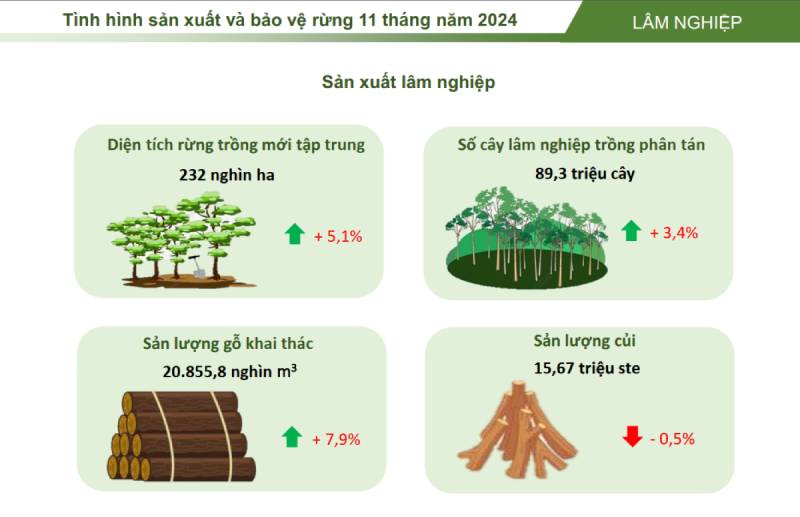 XUẤT KHẨU NÔNG LÂM THUỶ SẢN 11 THÁNG