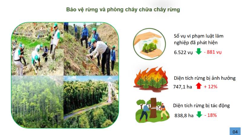 XUẤT KHẨU NÔNG LÂM THUỶ SẢN 11 THÁNG