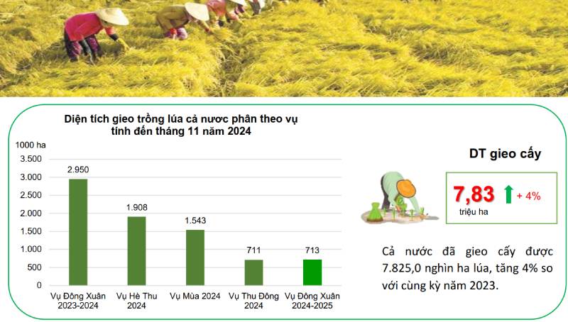 XUẤT KHẨU NÔNG LÂM THUỶ SẢN 11 THÁNG