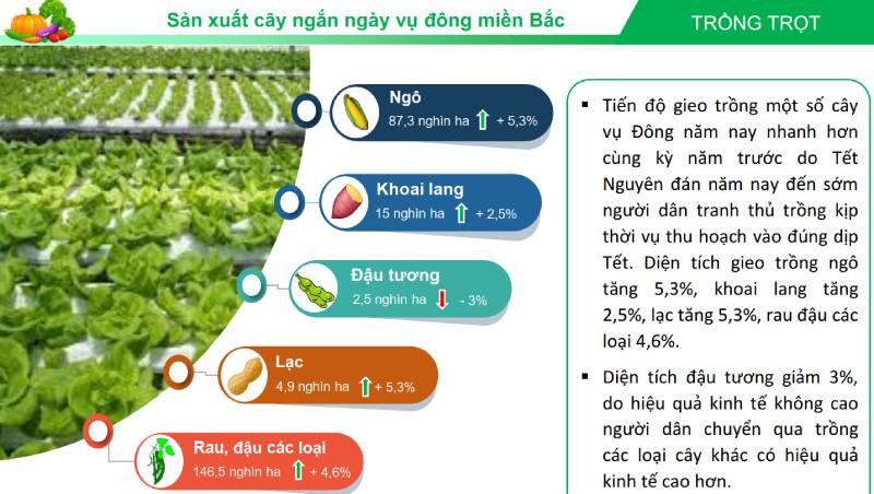 XUẤT KHẨU NÔNG LÂM THUỶ SẢN 11 THÁNG