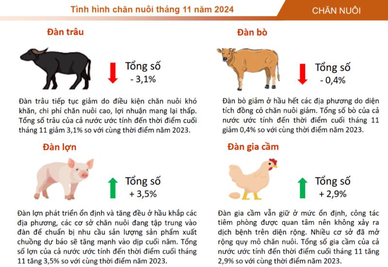 XUẤT KHẨU NÔNG LÂM THUỶ SẢN 11 THÁNG