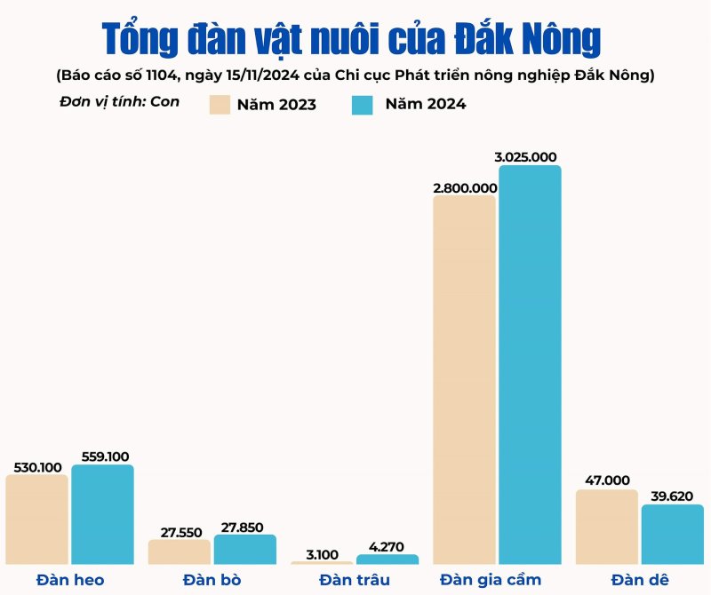 chăn nuôi Đắk Nông