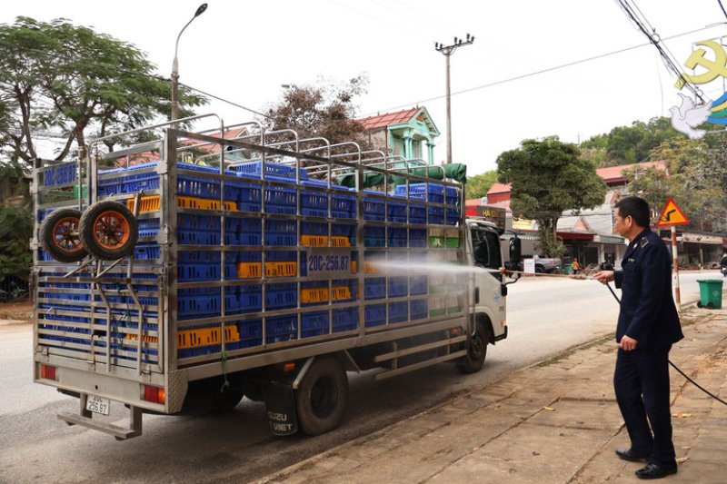 kiểm soát vận chuyển động vật