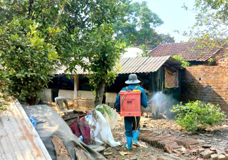 chăn nuôi quảng nam