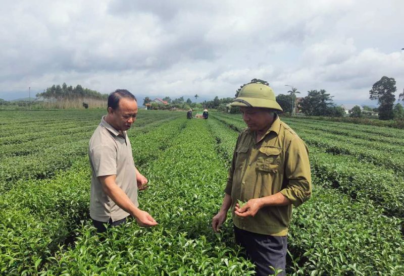 nông dân sản xuất giỏi