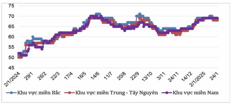 Diễn biến giá lợn hơi tại miền Bắc, miền Trung – Tây Nguyên và miền Nam từ đầu năm 2024 đến nay