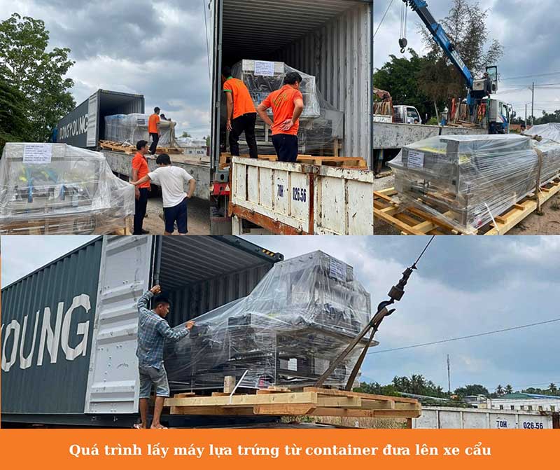 máy phân loại trứng BHN