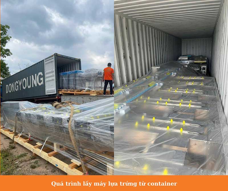 máy phân loại trứng BHN