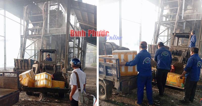 thịt heo nhiễm dịch tả châu Phi