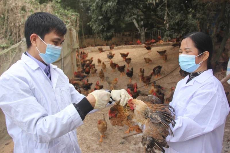 bác bỏ tin đồn trứng giả