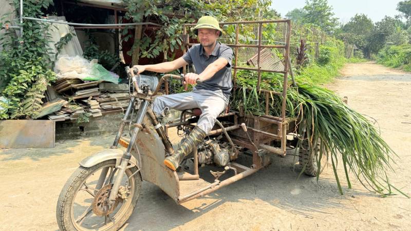 nuôi hươu lấy nhung