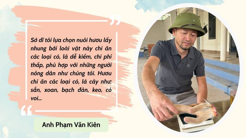 nuôi hươu lấy nhung