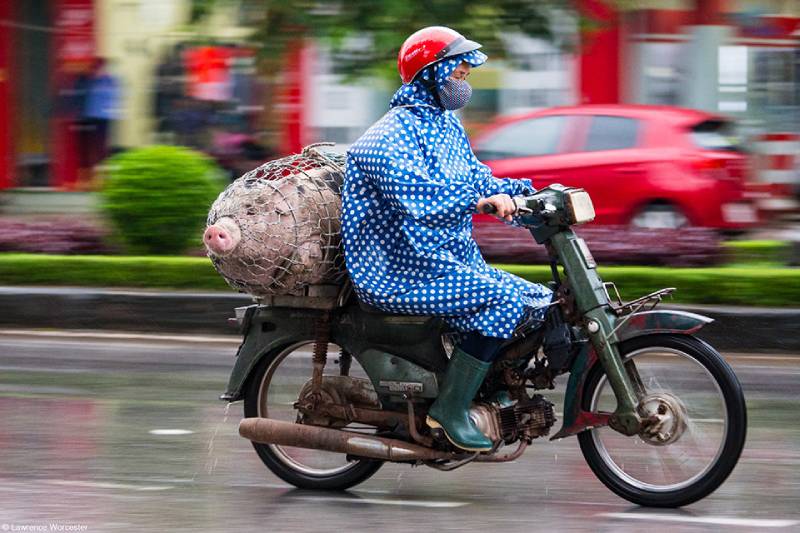 Giải Nhiếp ảnh Ẩm thực Thế giới năm 2025