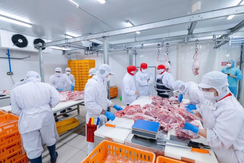 san hà Australian Meat School