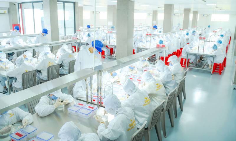 nuôi yến tiền giang