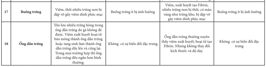 phân biệt bệnh ART,  ILT ORT và IC