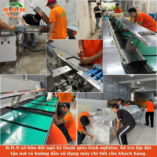 máy phân loại trứng BHN