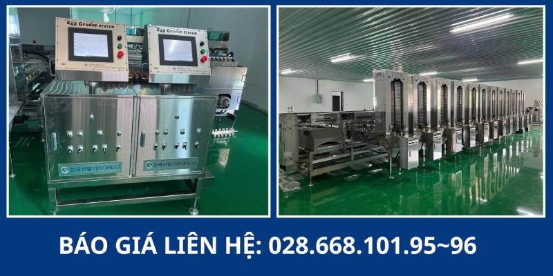 Máy phân loại trứng B.H.N