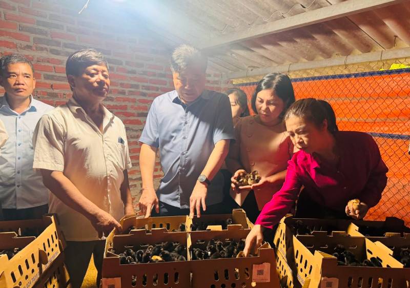 khuyến nông hải dương