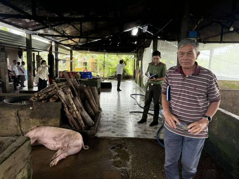 kiểm tra lò mổ C.P