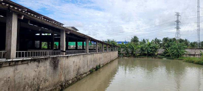 giết mổ lợi ích sức khỏe cộng đồng