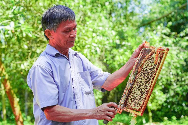Mùa mật ngọt