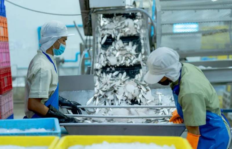 phụ phẩm nông nghiệp