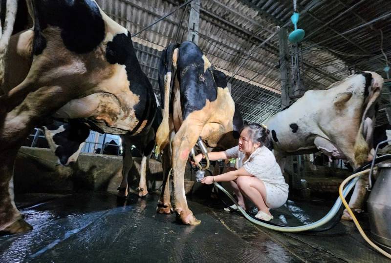 sữa ba vì