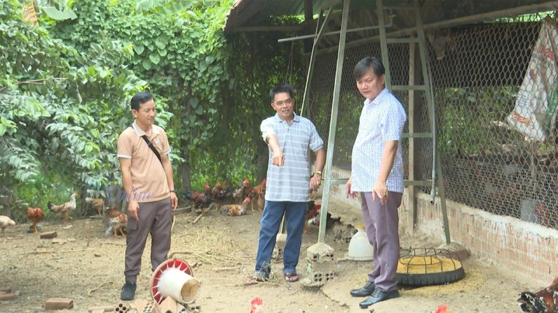 thiệt hại tin trứng gà giả