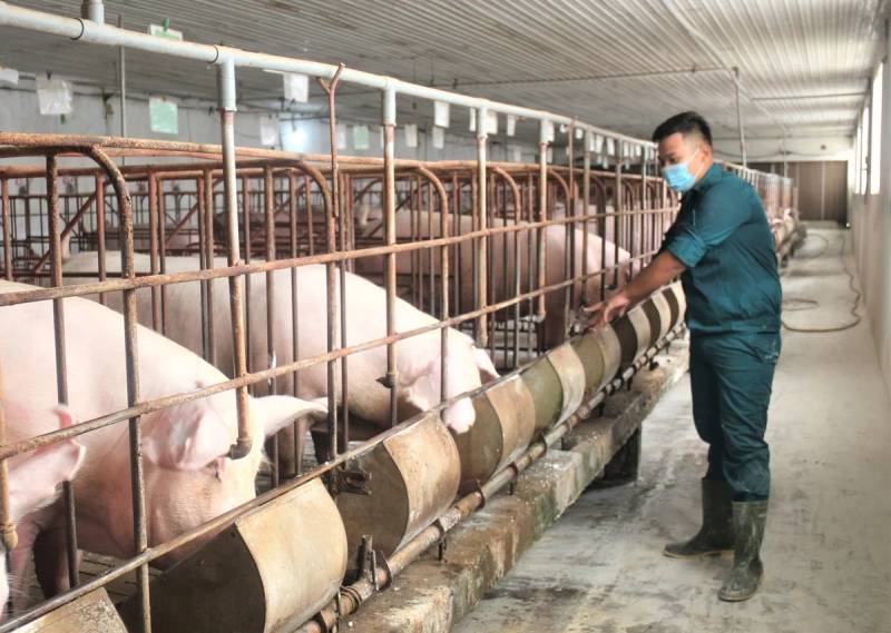 Viện Chăn nuôi và Thú y