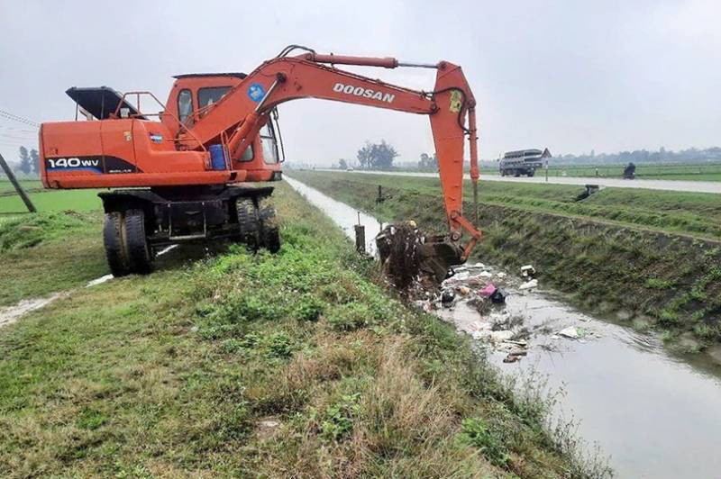 vứt lợn ra môi trường