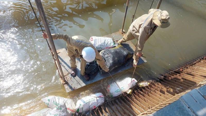 xác heo hồ Dầu Tiếng