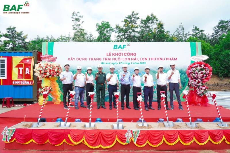 BAF Gia Lai