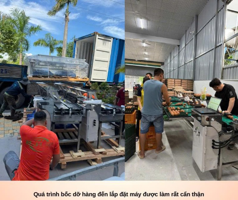 máy phân loại trứng B.H.N