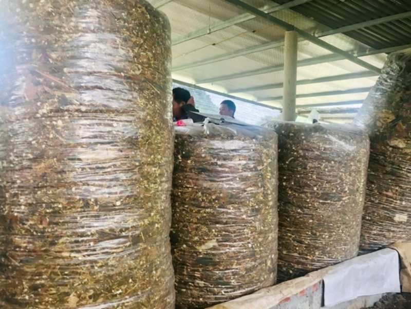 dự trữ thức ăn khô