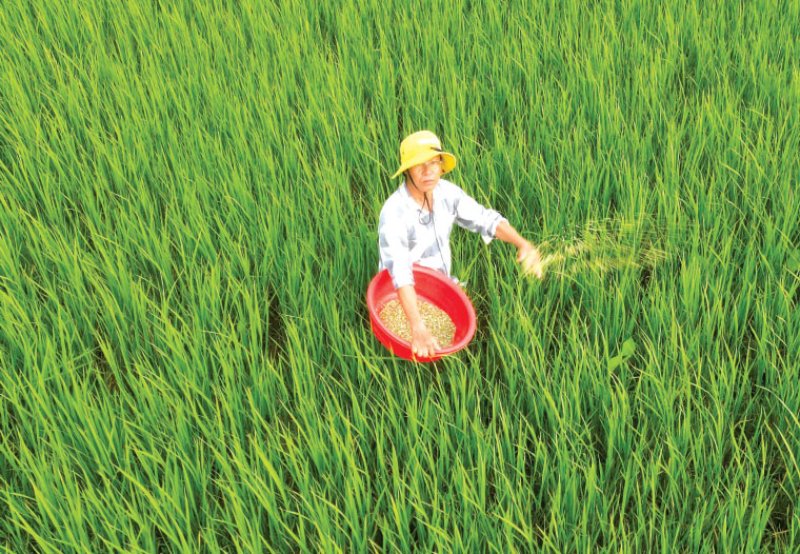 giá vật tư nông nghiệp