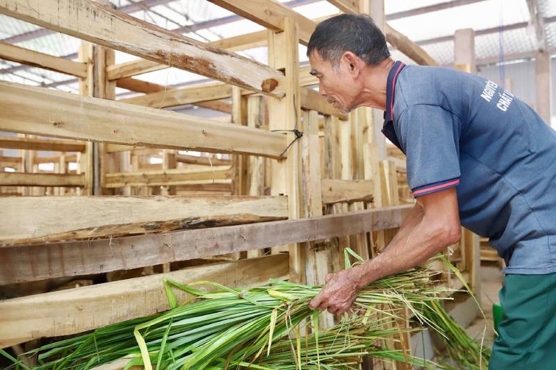trại hươu tiền tỷ
