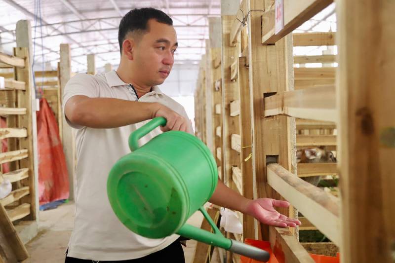 trại hươu tiền tỷ