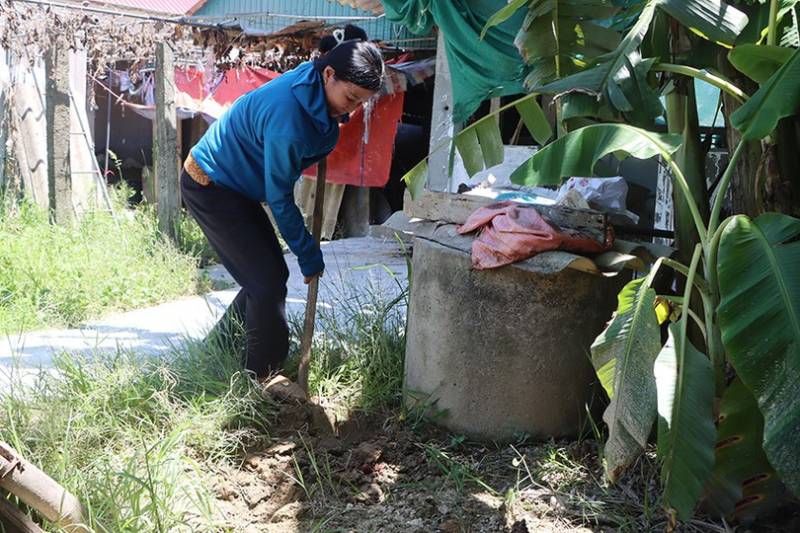 quỹ đất tiêu hủy gia súc