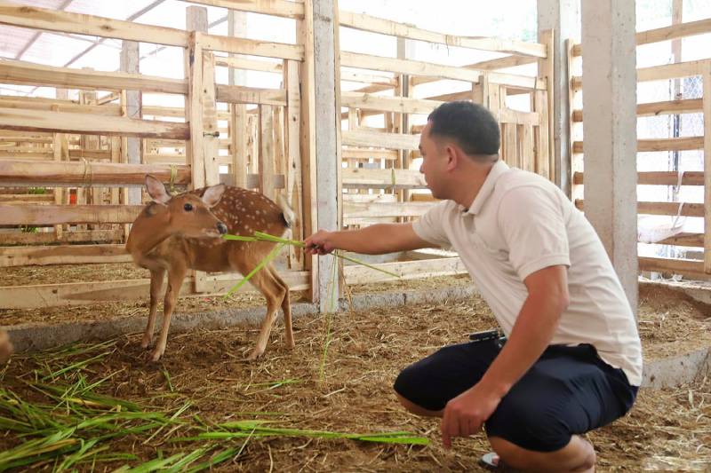 trại hươu tiền tỷ