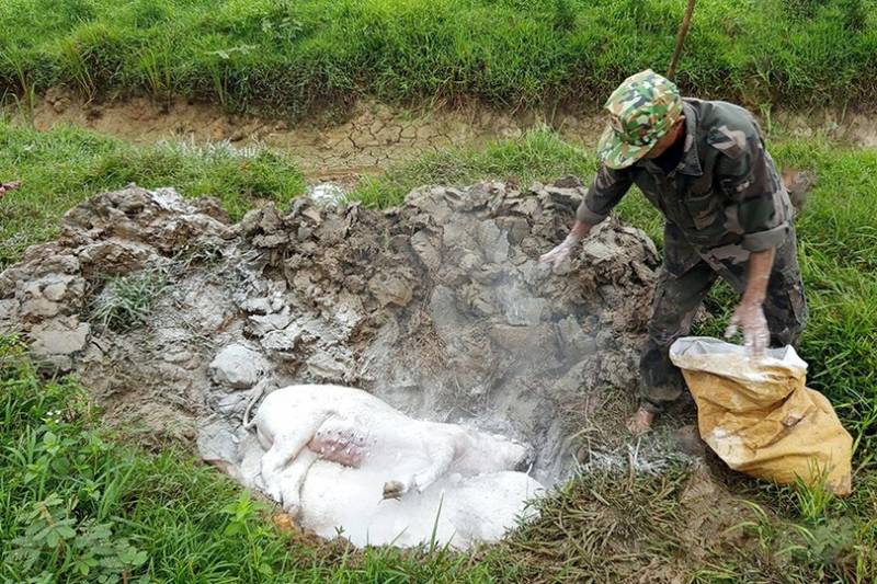 quỹ đất tiêu hủy gia súc