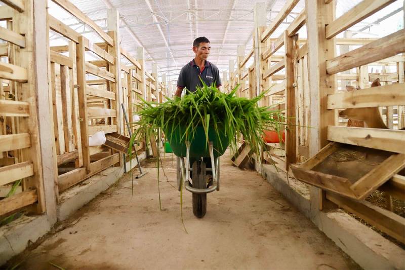trại hươu tiền tỷ