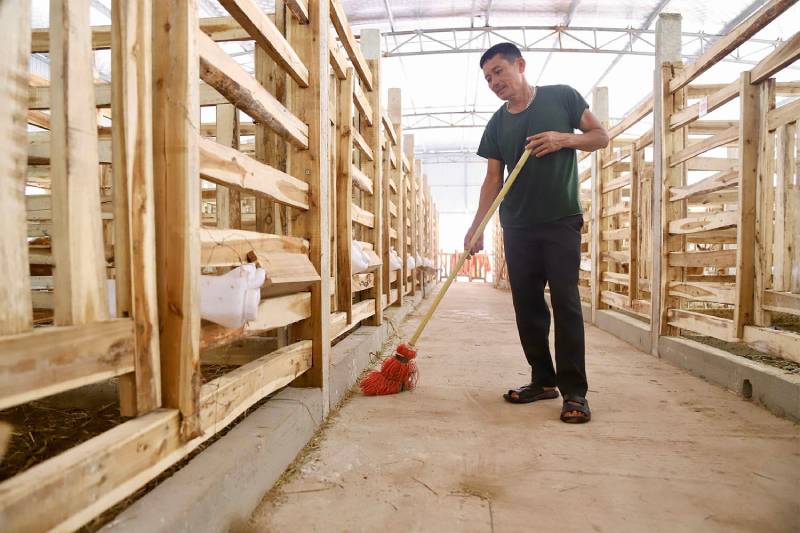 trại hươu tiền tỷ