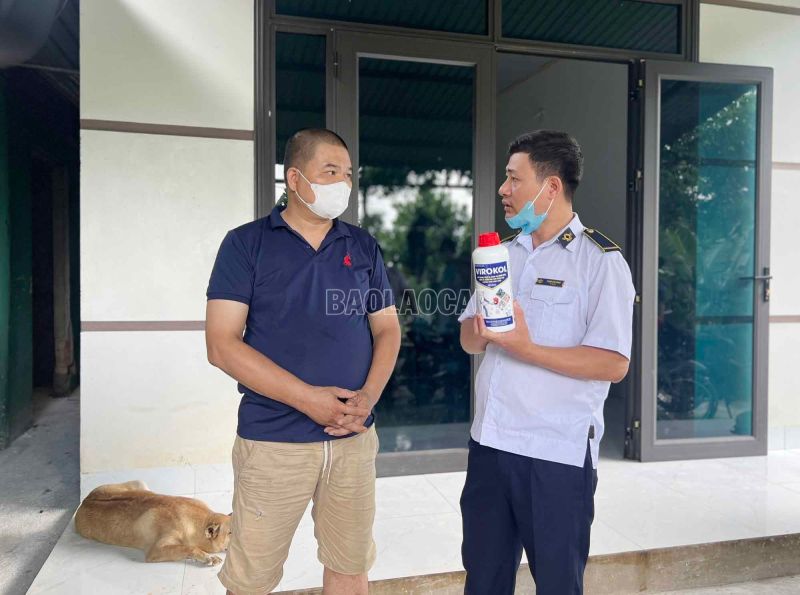dịch tả lợn châu Phi