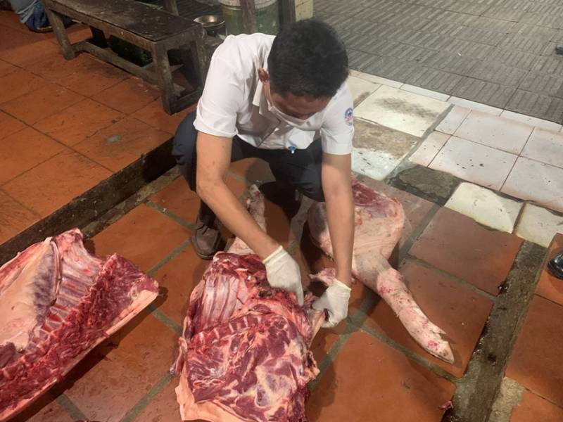 kiểm tra lò mổ lợn