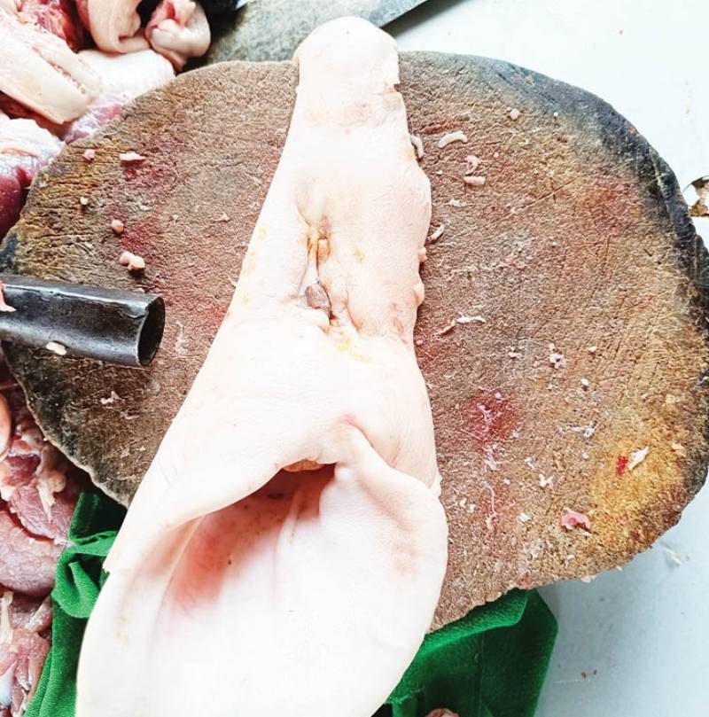 dịch bệnh liên cầu lợn