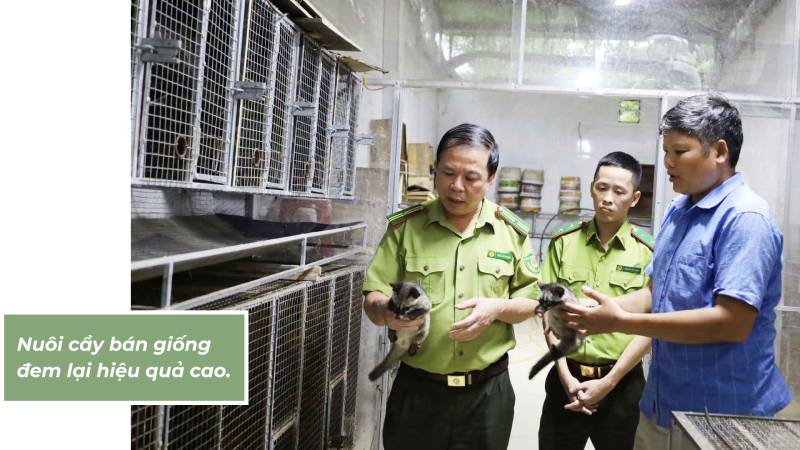 nuôi động vật rừng